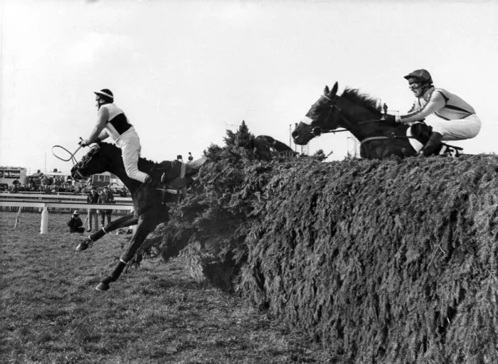 Framed Print : C. Kemball first over and unsaddled at the Chair on Freddie Bee in the 1984 Grand Framed Print : C. Kemball first over and unsaddled at the Chair on Freddie Bee in the 1984 Grand