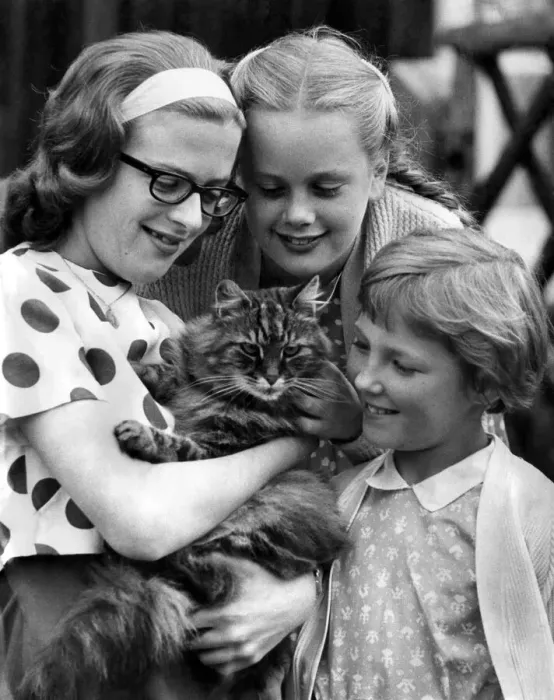Framed Print : When it came to choosing a name for the cat in our picture, his owner had a good idea Framed Print : When it came to choosing a name for the cat in our picture, his owner had a good idea