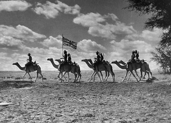 The Camel Corps of the Kings African Rifles October 1945 The Union Jack