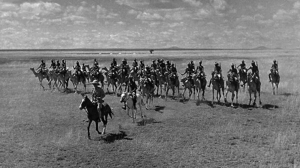 The Camel Corps of the Kings African Rifles October 1945 on the great Plain