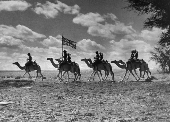 Framed Print : The Camel Corps of the Kings African Rifles October 1945 The Union Framed Print : The Camel Corps of the Kings African Rifles October 1945 The Union