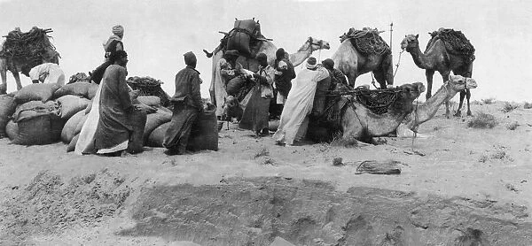 A camel supply column loading up near the rail head in the Egyptian Sinai desert for a