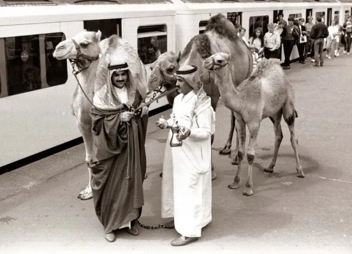 Framed Print : Camels at Olympia Station - August 1986 with Arab handlers Framed Print : Camels at Olympia Station - August 1986 with Arab handlers