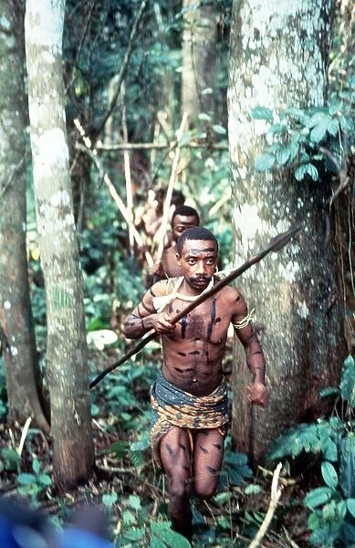 Cameroon warriors tribesmen with spears Baka hunters on trail of monkeys in rain forest