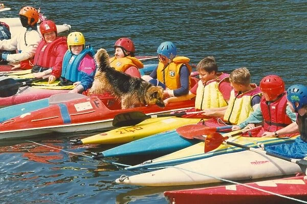 Canoeist line up during lessons so this dog can go for a little walk on the water