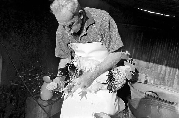 Captain Ellis Duckworth is 77 years old - he won his first poultry show prize in 1897