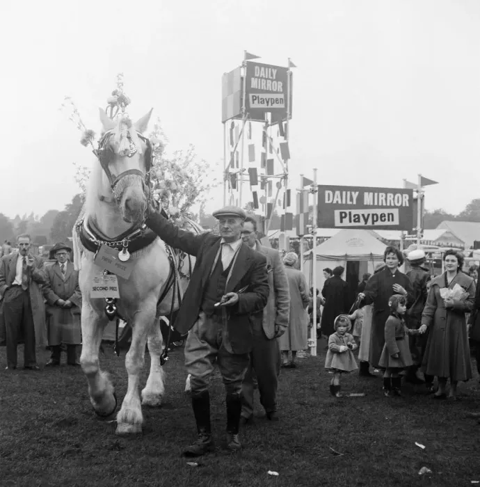 Framed Print : Cart hourse with his groom John Barratt. Altrincham agriculture show