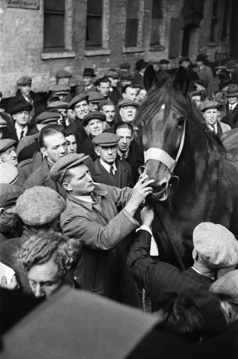 Framed Print : Cart and Van Horse Auction, New Kent Road, London, circa December 1947 Framed Print : Cart and Van Horse Auction, New Kent Road, London, circa December 1947