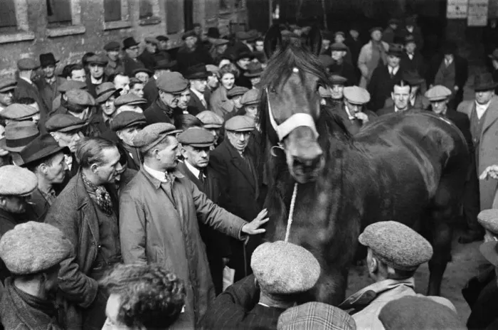 Framed Print : Cart and Van Horse Auction, New Kent Road, London, circa December 1947 Framed Print : Cart and Van Horse Auction, New Kent Road, London, circa December 1947
