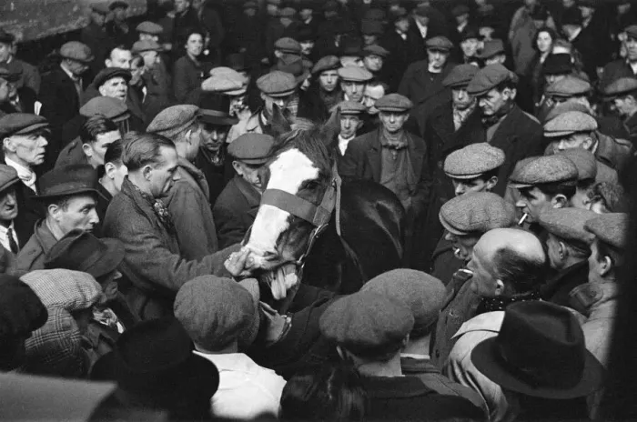 Framed Print : Cart and Van Horse Auction, New Kent Road, London, circa December 1947