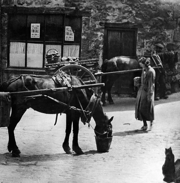 Carts and Ponies. Circa 1935