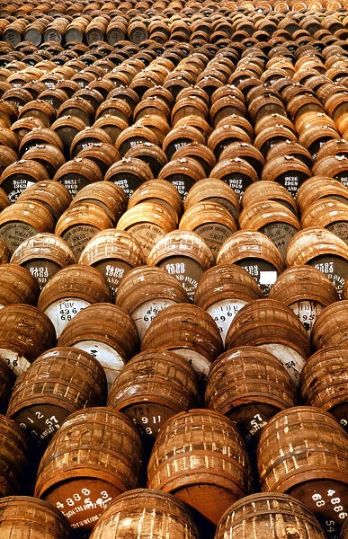 Empty casks used in the production of whisky awaiting filling at the Distillery at