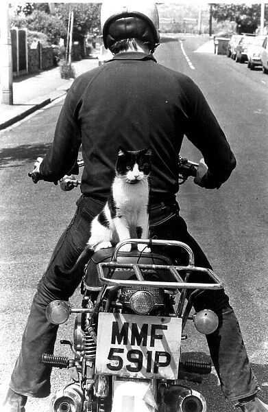 Cat called Maurice on motorcycle pillion circa 1973