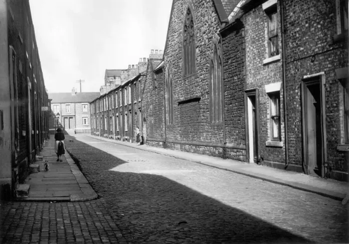 Framed Print : A cat follows a lady down Alderson Street in South Shields in the late evening sun, May