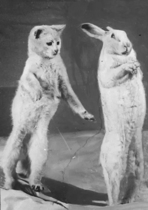 Framed Print : Cat and Rabbit jumping (original plate) XP00 XP20 C1152  /  30