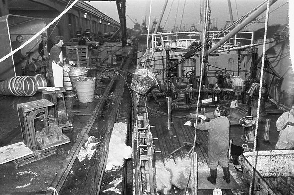 The catch from the trawler Valther is off loaded at the Fish Dock prior to the mornings