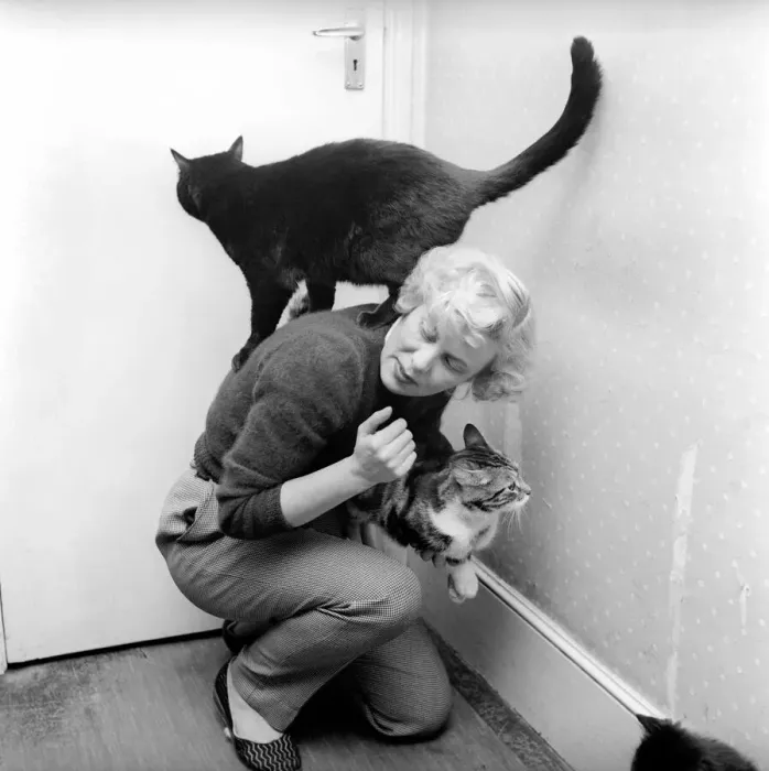Framed Print : Cats and Dogs: Mrs. D. Edwards seen here with some of the lost cats Framed Print : Cats and Dogs: Mrs. D. Edwards seen here with some of the lost cats