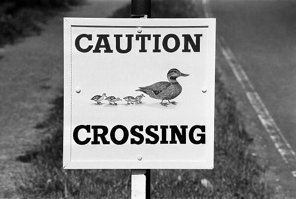 Caution, Duck Crossing Sign at the Village of Sherfield on Loddon, North Hampshire