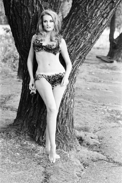 Framed Print : Celeste Yarnall, American actress, Regents Park, London, Wednesday 16th August 1967 Framed Print : Celeste Yarnall, American actress, Regents Park, London, Wednesday 16th August 1967