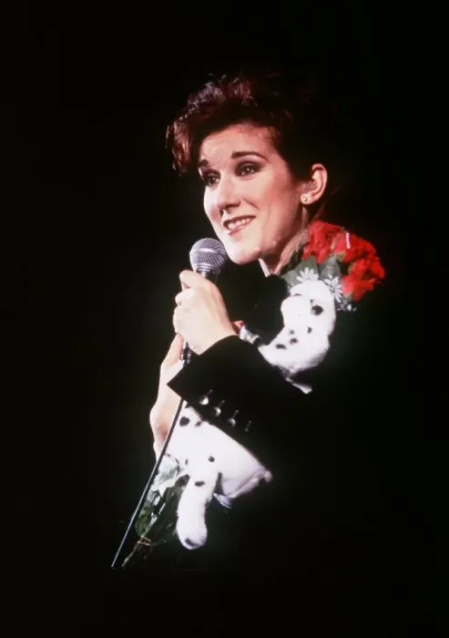 Framed Print : Celine Dion Framed Print : Celine Dion