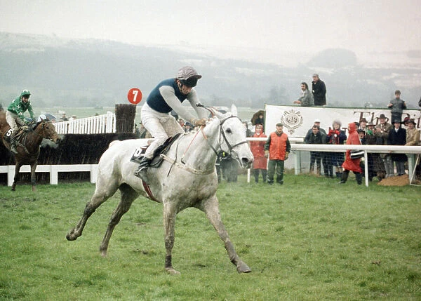 Champion racehorese Desert Orchid on his way to first place in the Gold Cup race at