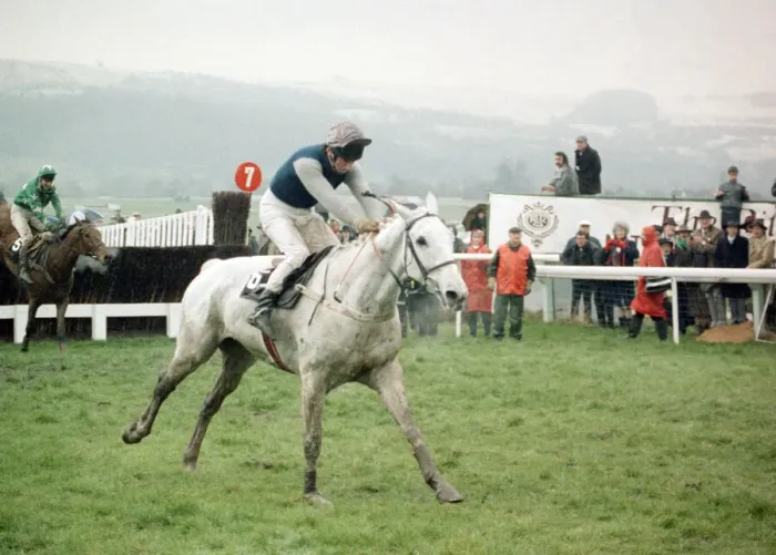 Framed Print : Champion racehorese Desert Orchid on his way to first place in the Gold Cup race Framed Print : Champion racehorese Desert Orchid on his way to first place in the Gold Cup race