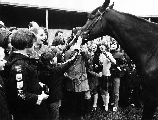 Champion racehorse Mill Reef makes his farewell appearance at Kingsclere