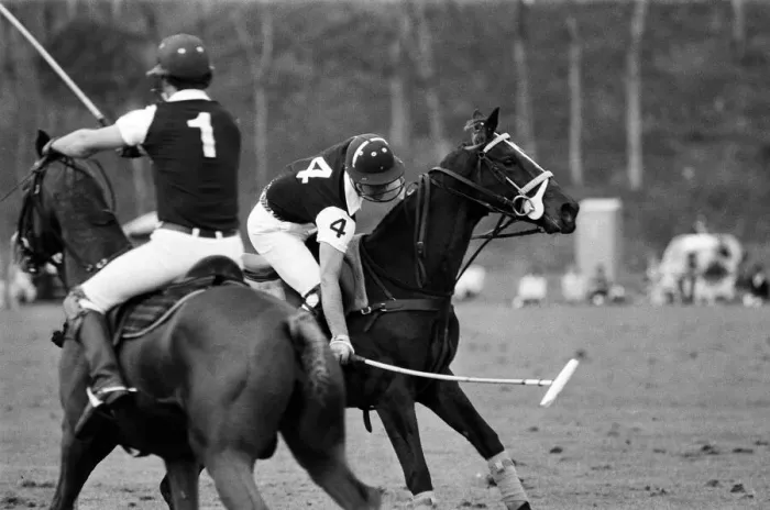 Framed Print : Charles, Prince of Wales playing polo during his visit to Auckland, New Zealand Framed Print : Charles, Prince of Wales playing polo during his visit to Auckland, New Zealand