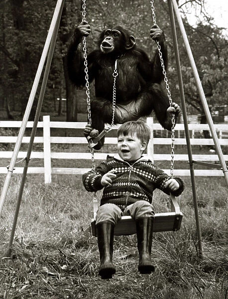 Charlie the Chimp on swing - November 1969 2 year old David Cawley enjoys a