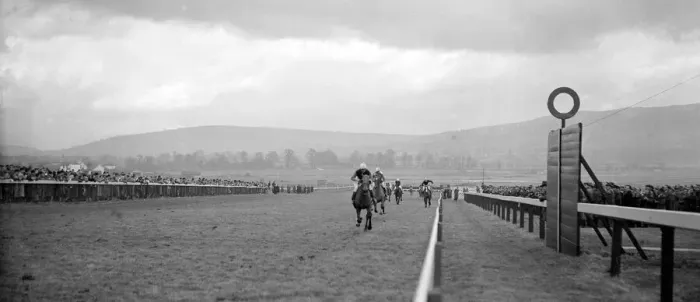 Framed Print : Cheltenham Festival 1956. The Horse Segnor IV, coming in first in the National juvenile Framed Print : Cheltenham Festival 1956. The Horse Segnor IV, coming in first in the National juvenile