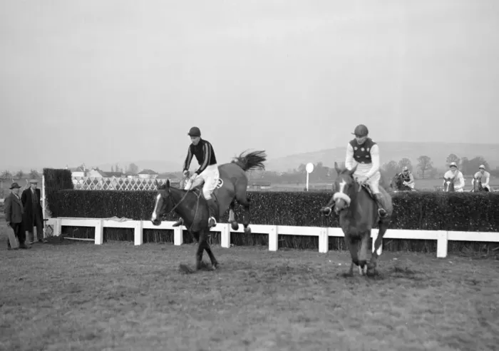 Framed Print : Cheltenham Festival 1956. The last jump of The National Steeplechase Framed Print : Cheltenham Festival 1956. The last jump of The National Steeplechase