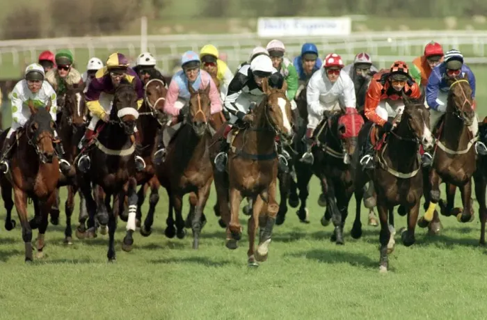 Framed Print : Cheltenham Festival 1990. Gold Cup Race won by 100 / 1 outsider Norton Framed Print : Cheltenham Festival 1990. Gold Cup Race won by 100 / 1 outsider Norton