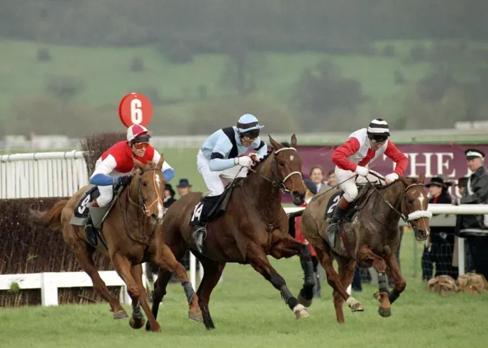 Framed Print : Cheltenham Festival 1990. Gold Cup Race won by 100 / 1 outsider Nortons Coin Framed Print : Cheltenham Festival 1990. Gold Cup Race won by 100 / 1 outsider Nortons Coin