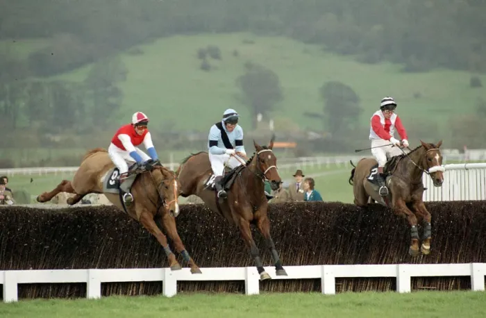 Framed Print : Cheltenham Festival 1990. Gold Cup Race won by 100  /  1 outsider Nortons Coin