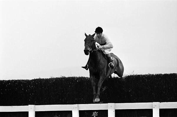 Cheltenham Gold Cup, Thursday 17th March 1966. Arkle and Pat Taaffe win the Gold Cup at