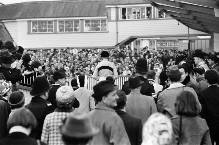 Framed Print : Cheltenham Gold Cup, Thursday 17th March 1966. Arkle and Pat Taaffe after winning Framed Print : Cheltenham Gold Cup, Thursday 17th March 1966. Arkle and Pat Taaffe after winning