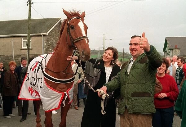 Cheltenham Gold Cup winner Nortons Coin during celebrations in his village after the race