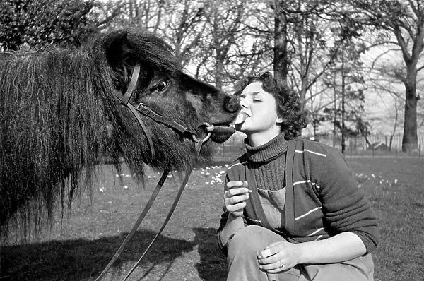 Chessington Zoo. Woman shares her ice cream with a shetland pony. March 1953 D1004
