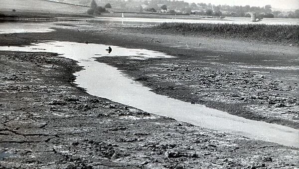 Chew Magna Reservoir dries to a trickle during the 1976 drought