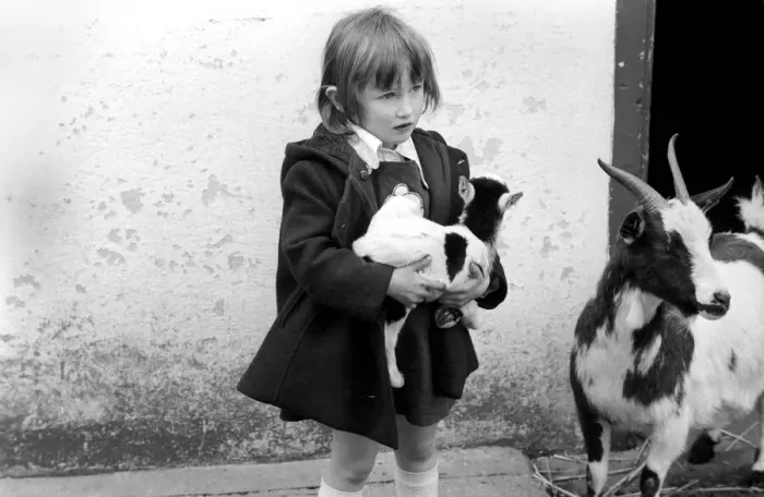 Framed Print : Child holding a baby goat in the farmyard section at Crystal Palace childrenIs Zoo Framed Print : Child holding a baby goat in the farmyard section at Crystal Palace childrenIs Zoo