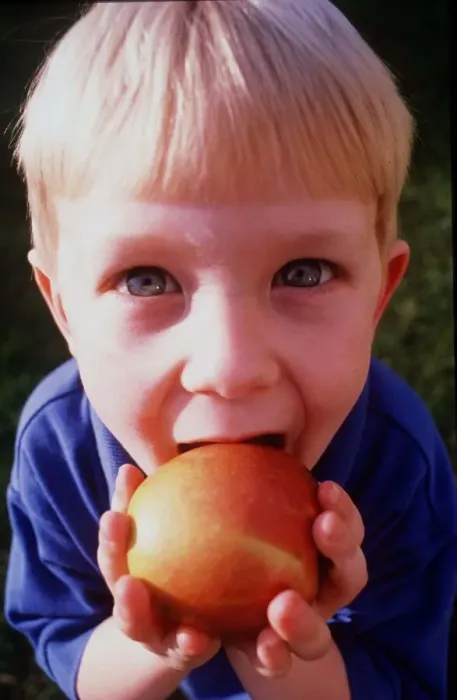 Framed Print : A child is pictured eating in Eating feature April 1999 Framed Print : A child is pictured eating in Eating feature April 1999