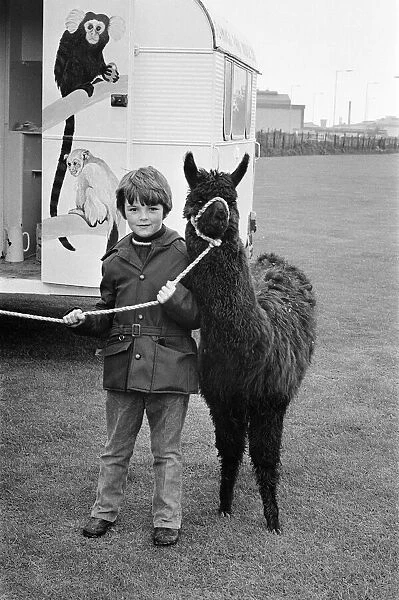 A child playing with a Llama at the ICI gala day. 1972