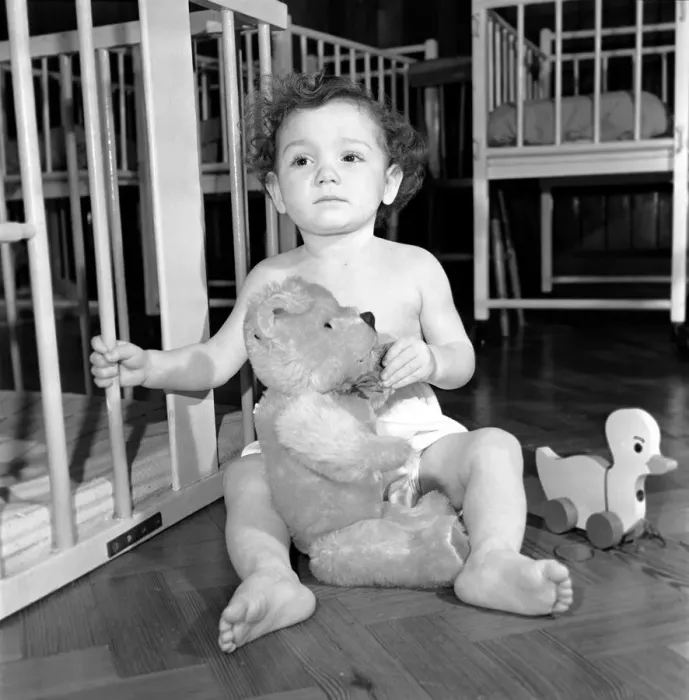 Framed Print : Child with teddy bear and toy top hat. December 1953 D7586-001