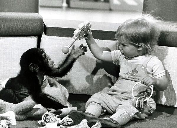 Children - Animals Chimps - May 1982 A Chimps Toy Party