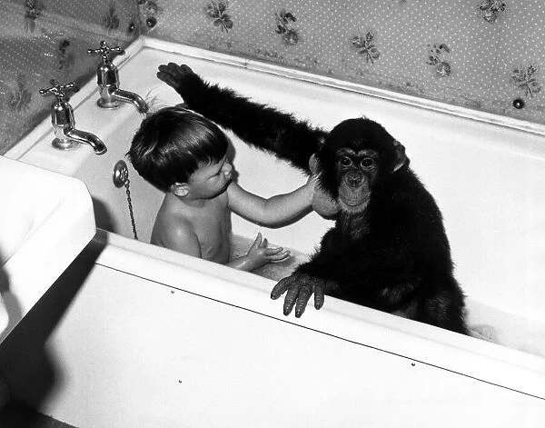 Children - Animals Chimps Young David Cawley and his pal Charles the Chimp in