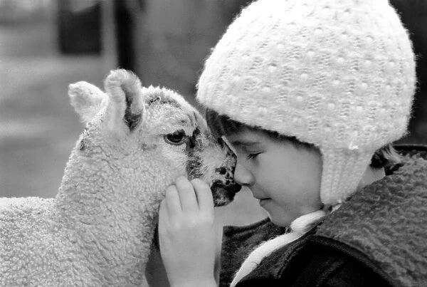 Children  /  Animals  /  Cute. Lamb and Child. December 1976 76-07533-010