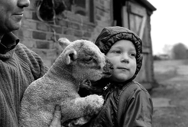 Children  /  Animals  /  Cute. Lamb and Child. December 1976 76-07533-001