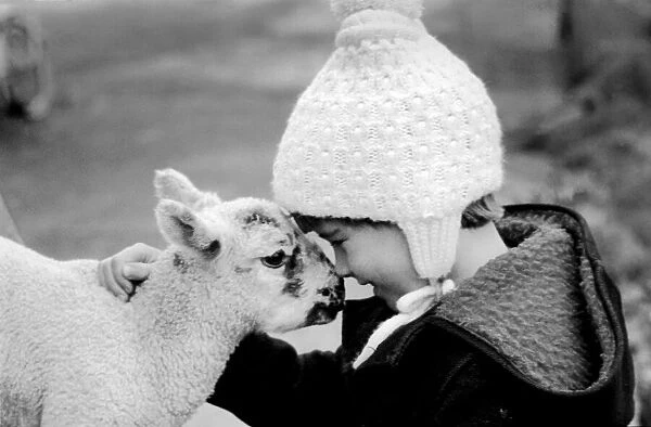 Children  /  Animals  /  Cute. Lambs and Child. December 1976 76-07533-005