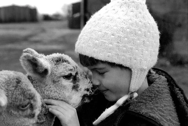 Children  /  Animals  /  Cute. Lambs and Child. December 1976 76-07533-015