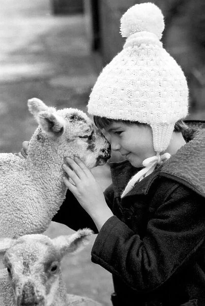 Children  /  Animals  /  Cute. Lambs and Child. December 1976 76-07533-009